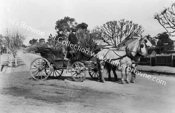 IN THE BLUE MOUNTAINS  HORSES & CARRIAGE